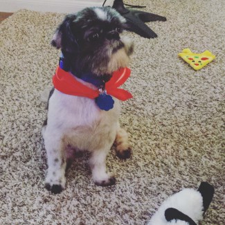 IMG_20170407_120815_197