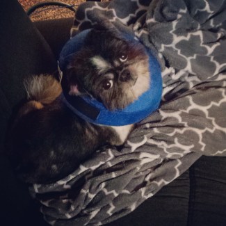 IMG_20170407_120958_736